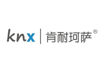 上海肯耐珂萨人力资源科技股份有限公司