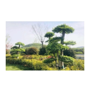 12.png
