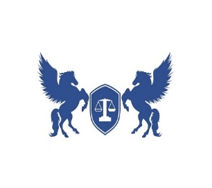 上海驷言律师事务所