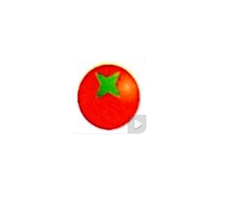 上海西郊国际农产品交易有限公司