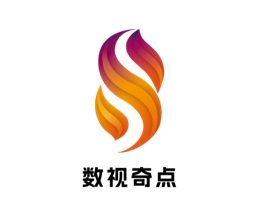 上海数视奇点传媒科技有限公司