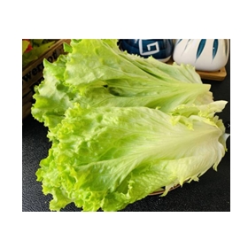 13.png