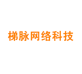 上海梯脉网络科技有限公司