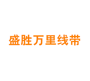 上海盛胜万里线带有限公司