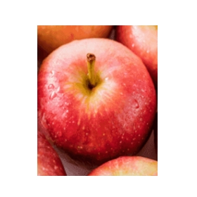12.png