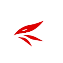 雷逊汽车配件（上海）有限公司